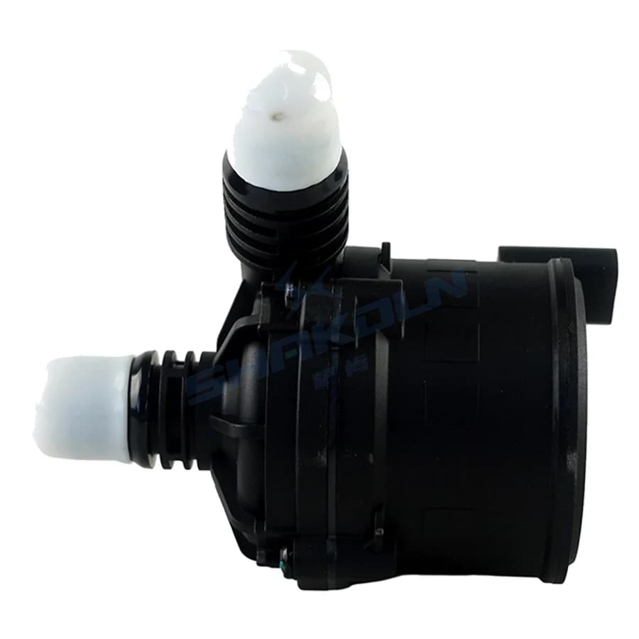Auxiliary Water Pump