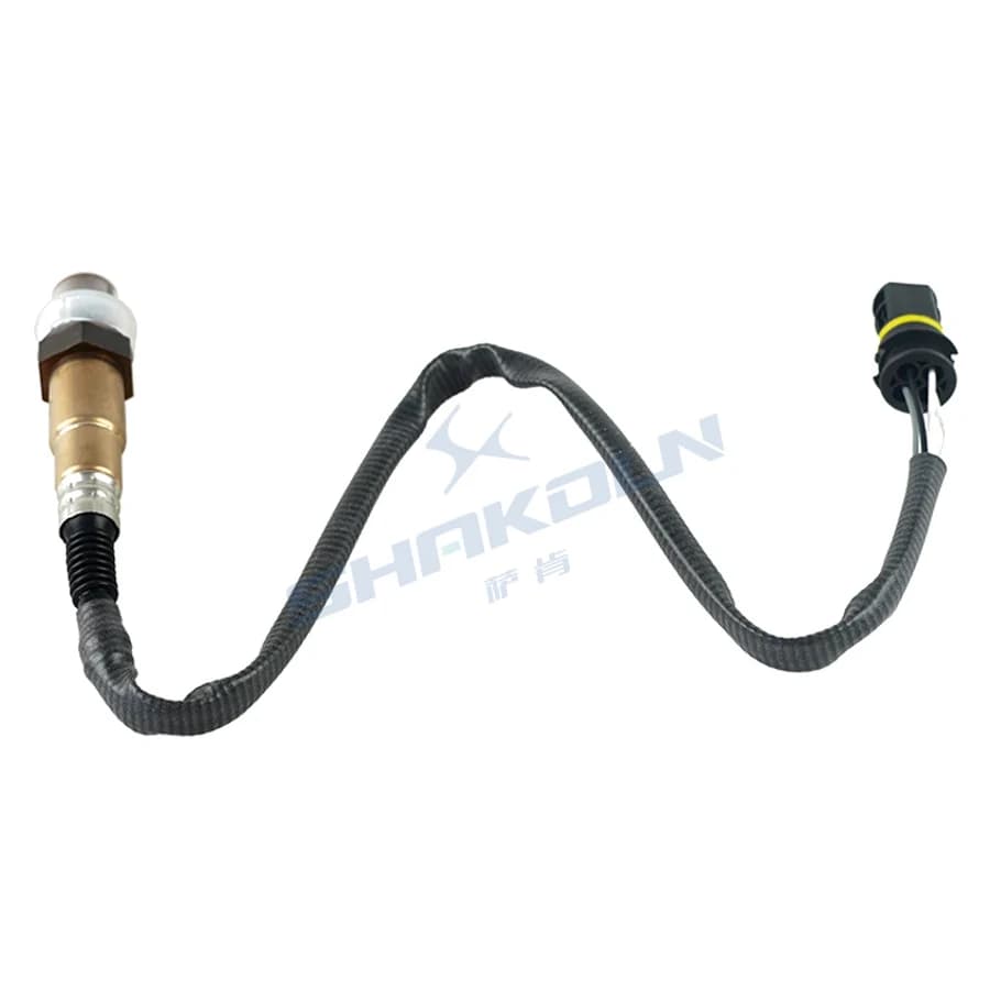 Oxygen Sensor