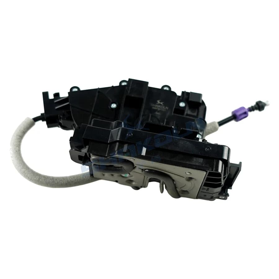 Rear Door Lock