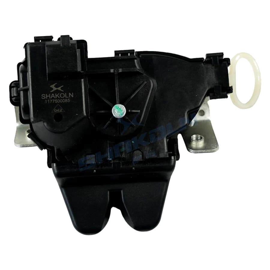 Trunk Lock