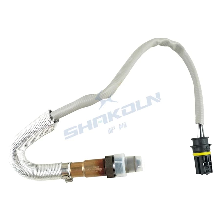 Oxygen Sensor