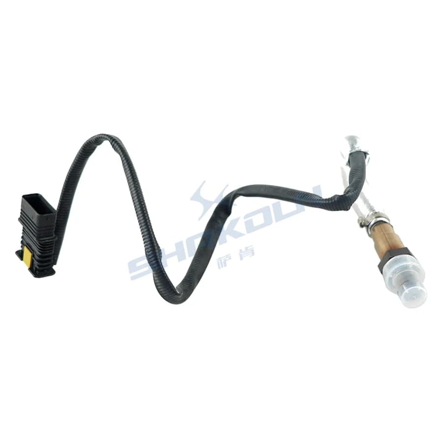Oxygen Sensor