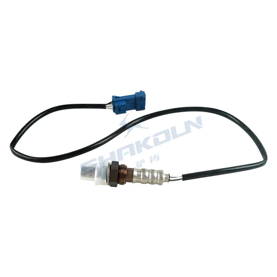 Oxygen Sensor