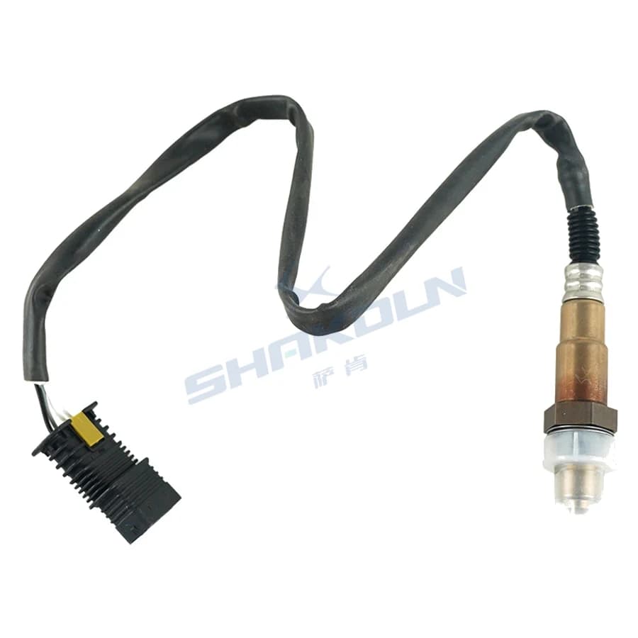 Oxygen Sensor