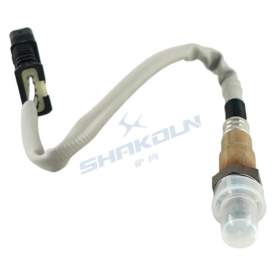 Oxygen Sensor