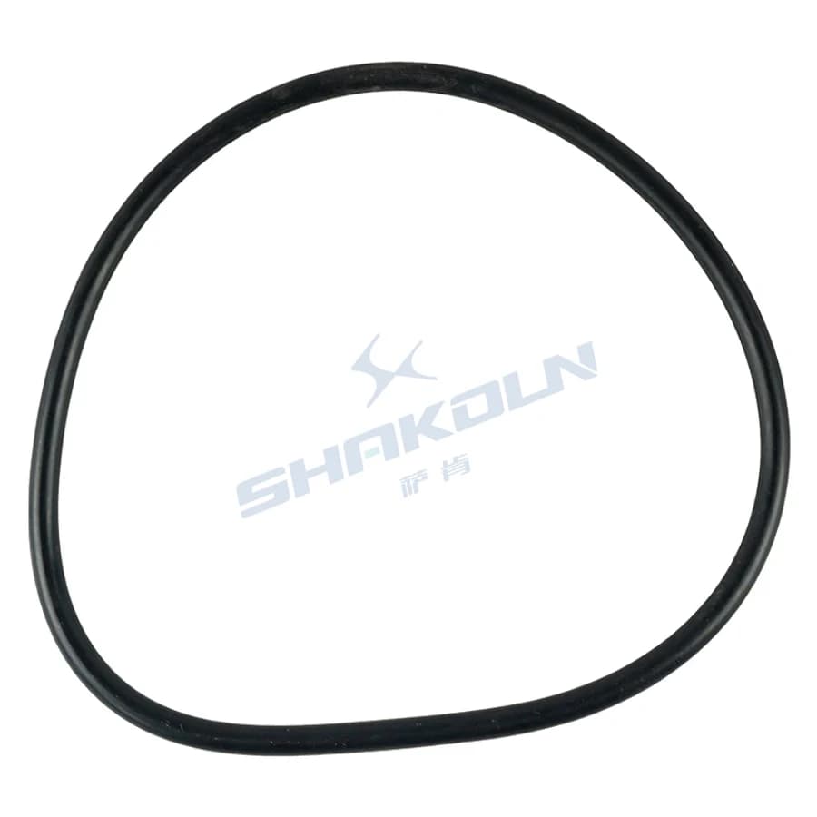 Fuel Pump Seal