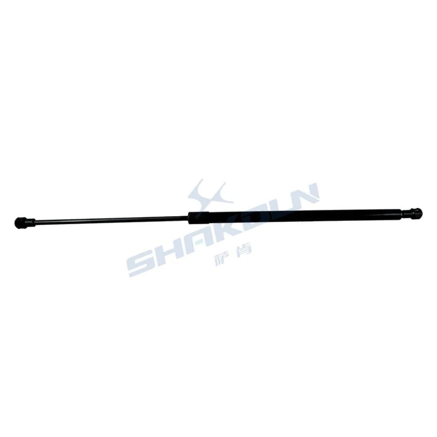 Trunk Strut
