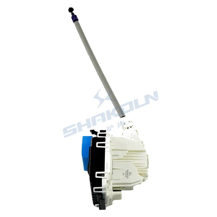 Rear Door Lock