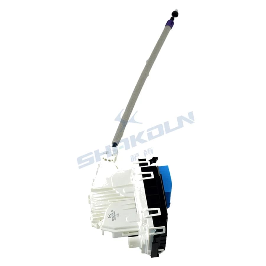 Rear Door Lock