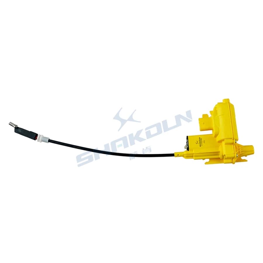Rear Door Lock