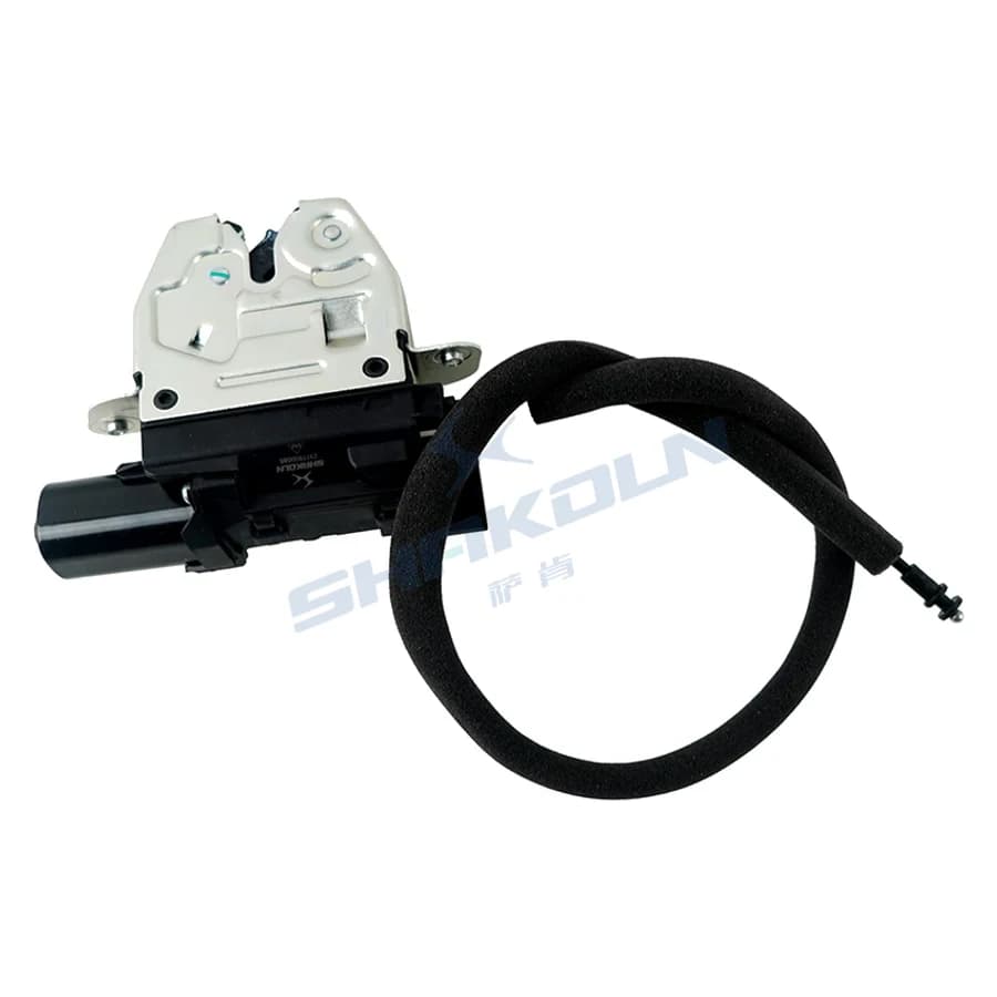 Trunk Lock