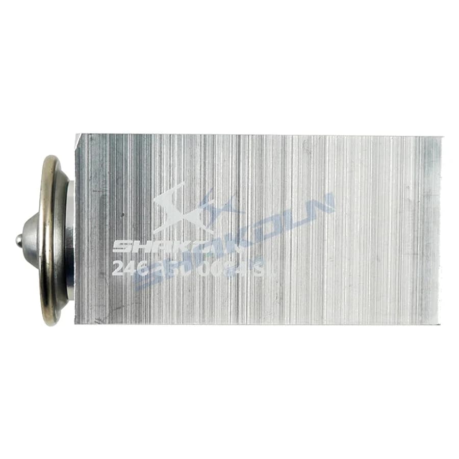 Expansion Valve