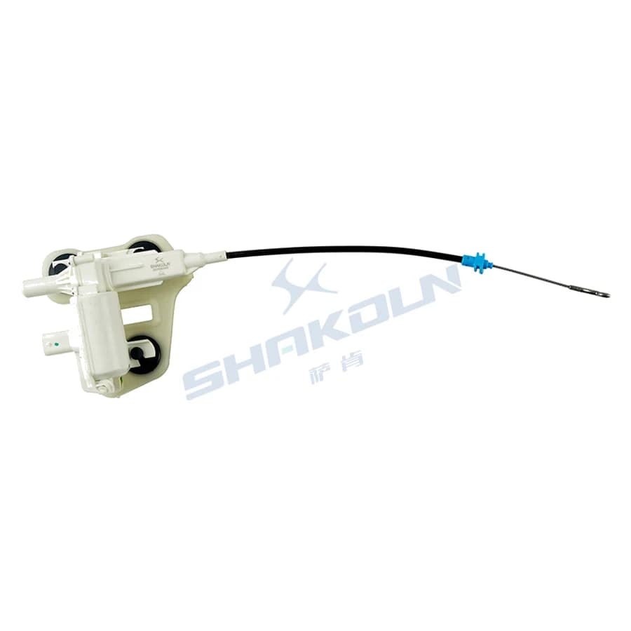 Trunk Lock