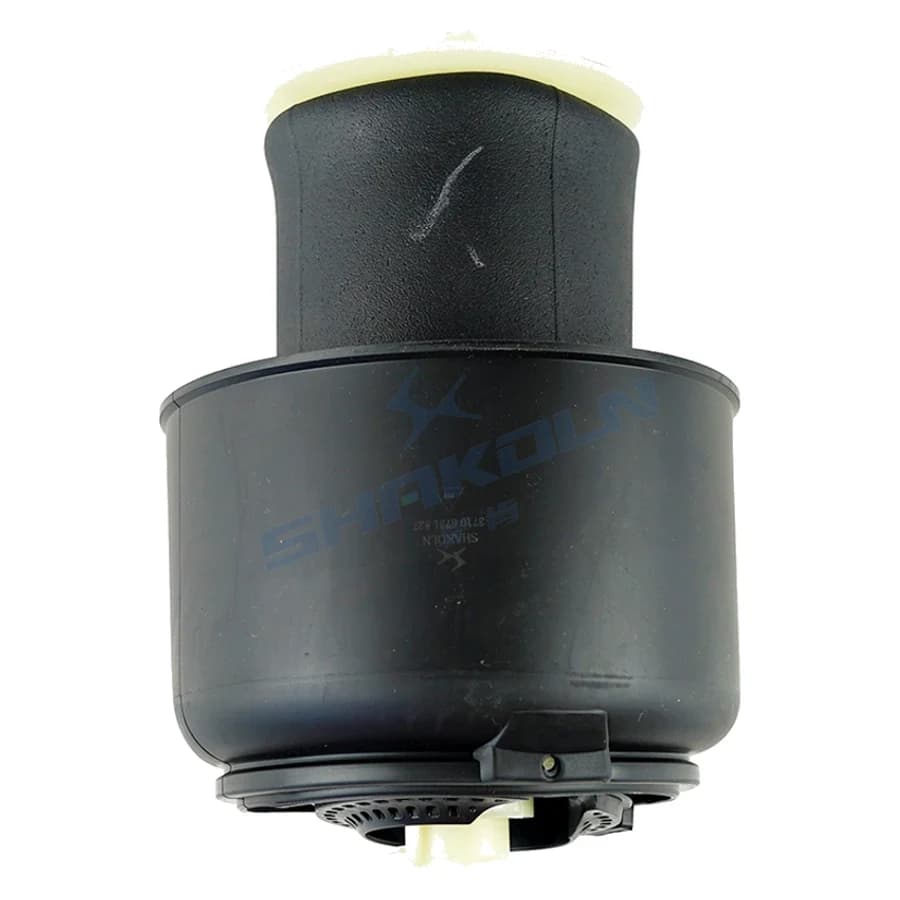 Rear Air Spring