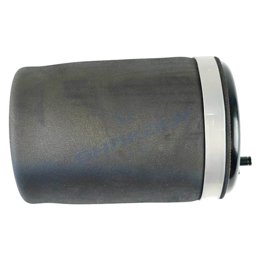 Rear Air Spring