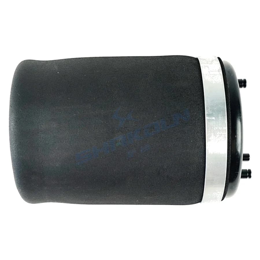 Rear Air Spring