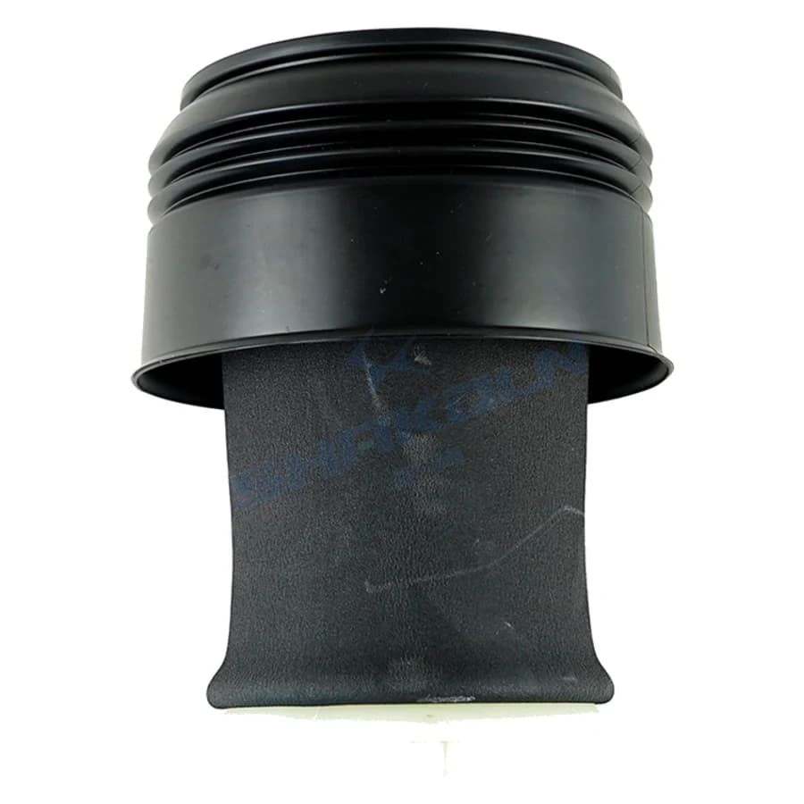 Rear Air Spring