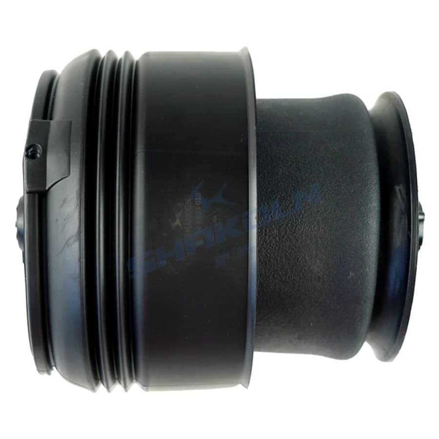Rear Air Spring