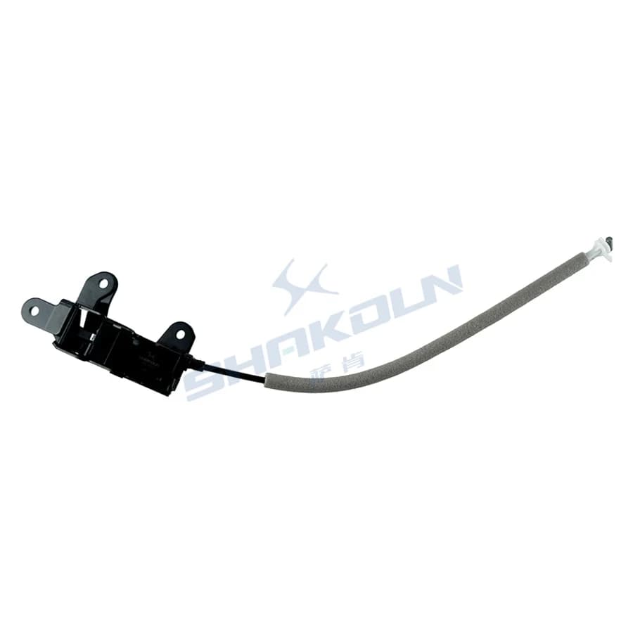 Trunk Lock Lower