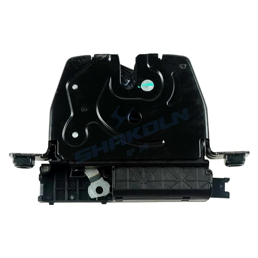 Trunk Lock