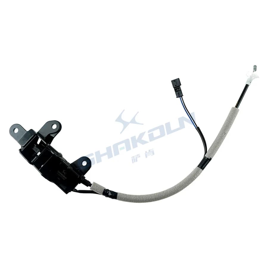 Trunk Lock Lower