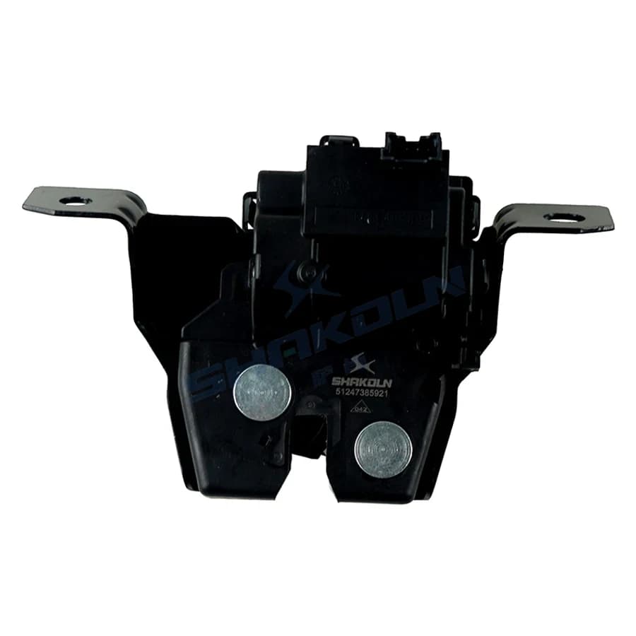Trunk Lock