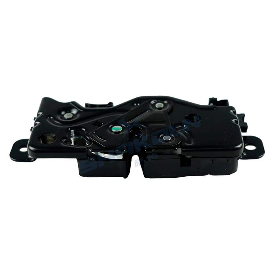 Trunk Lock