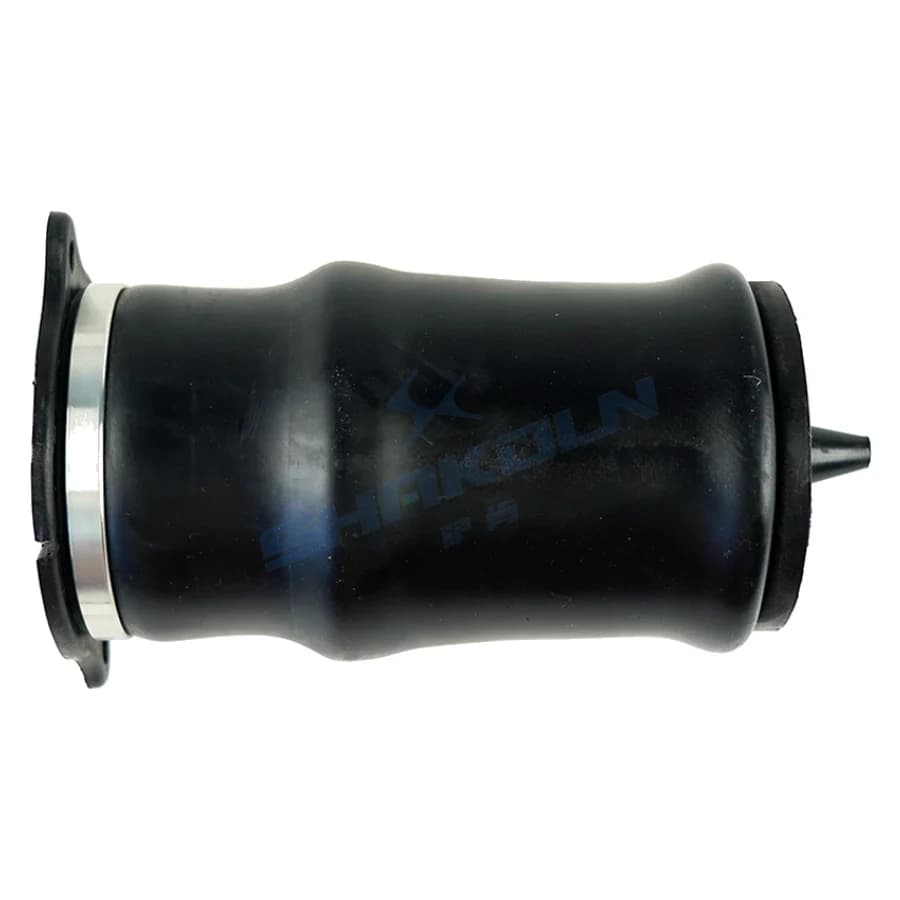 Rear Air Spring