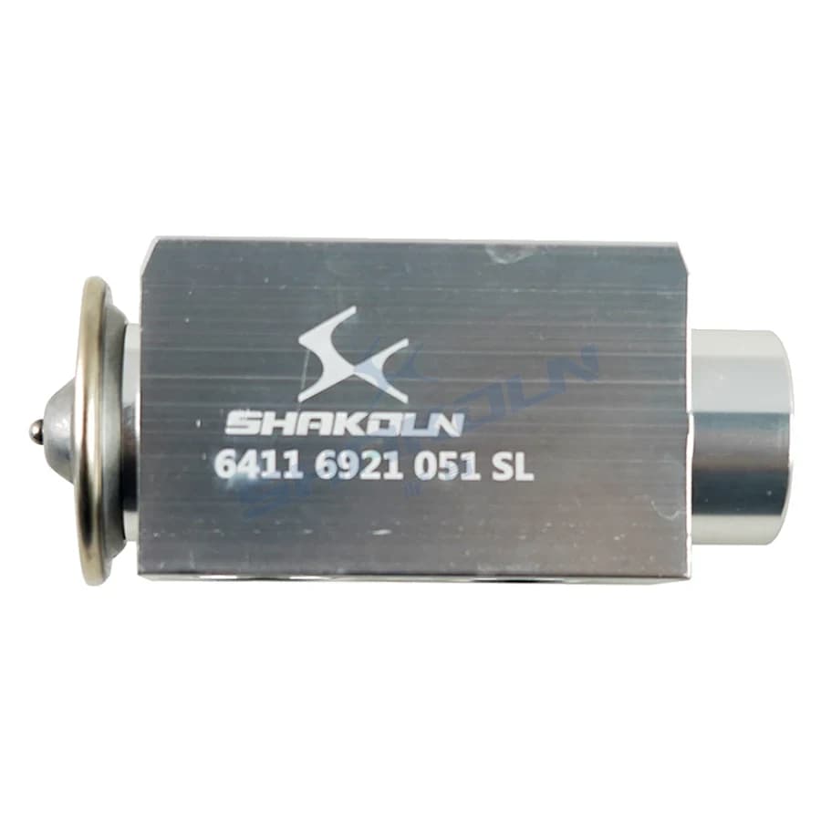 Expansion Valve