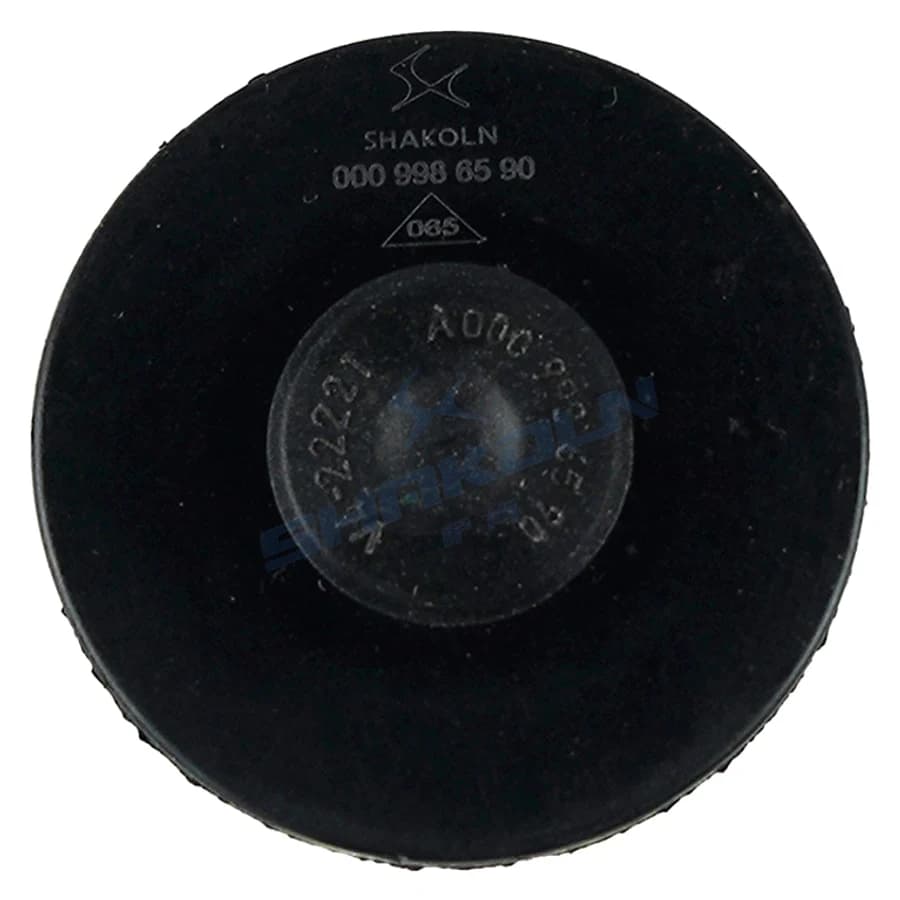 Cylinder Head Rear Blanking Cap