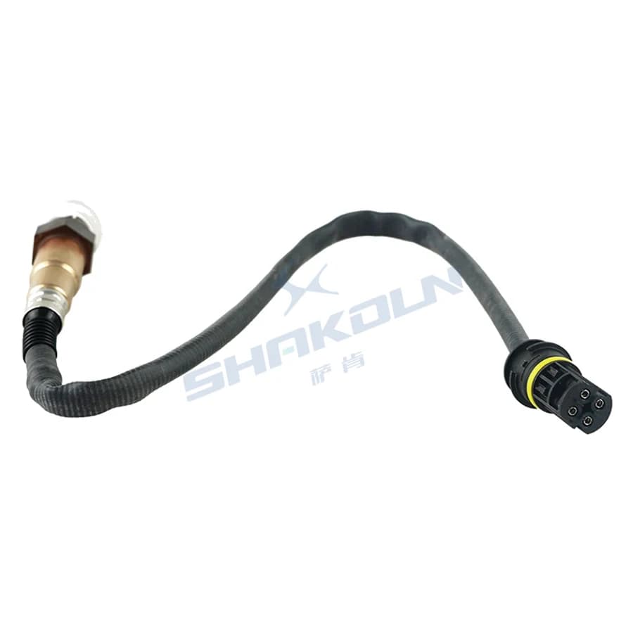 Oxygen Sensor