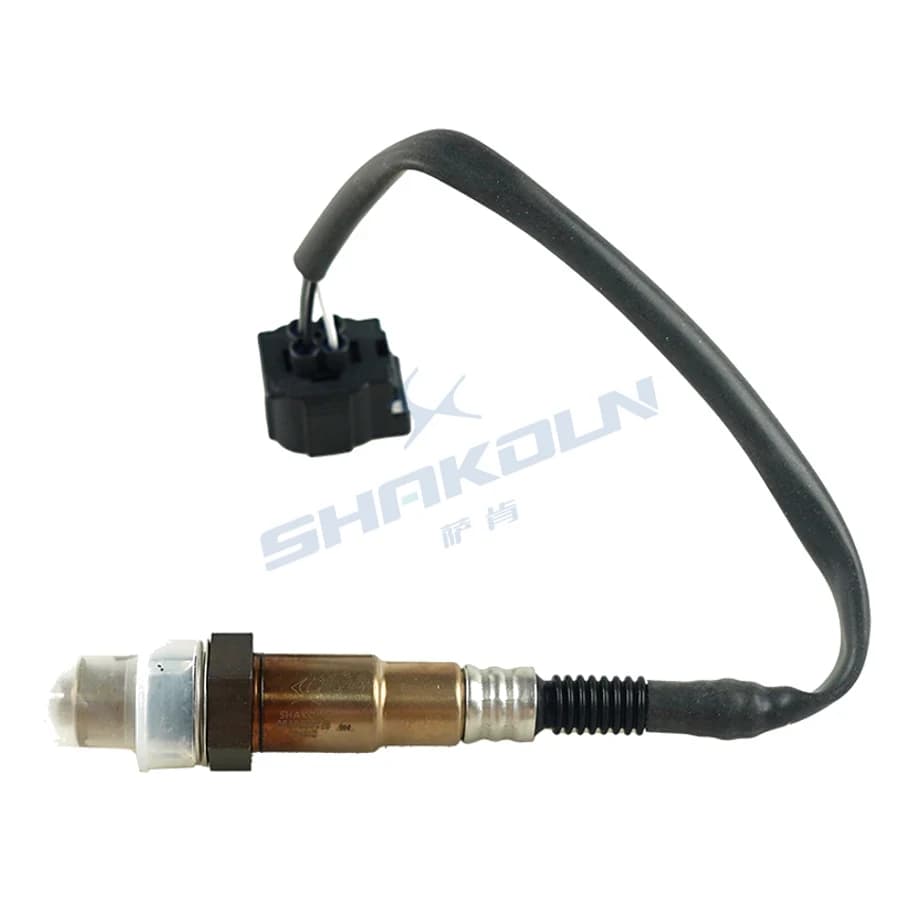 Oxygen Sensor