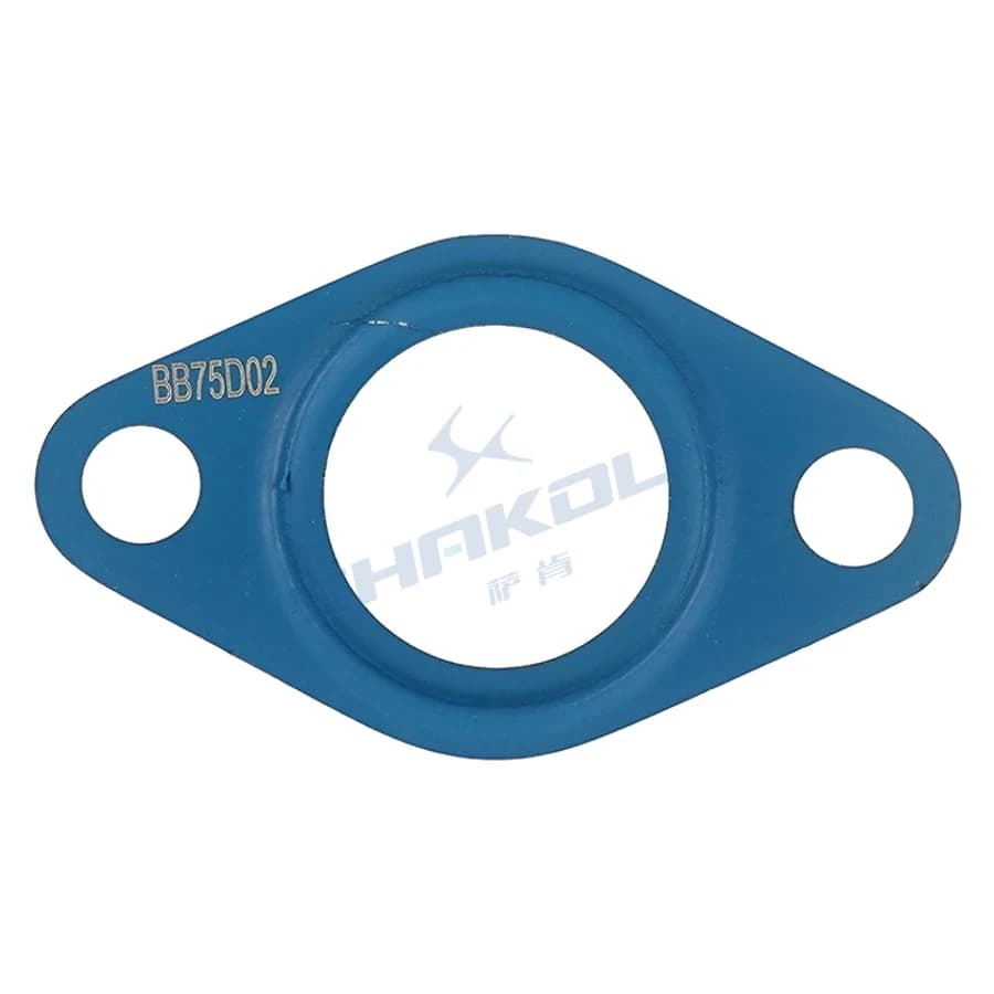 EGR Valve