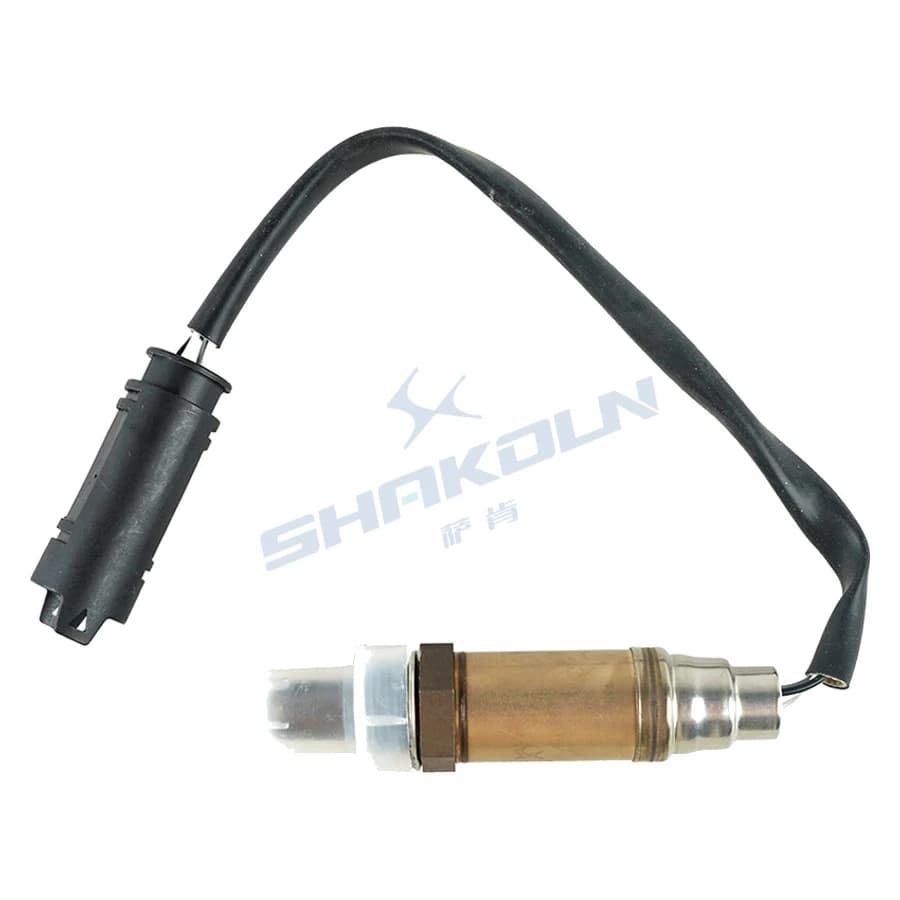Oxygen Sensor