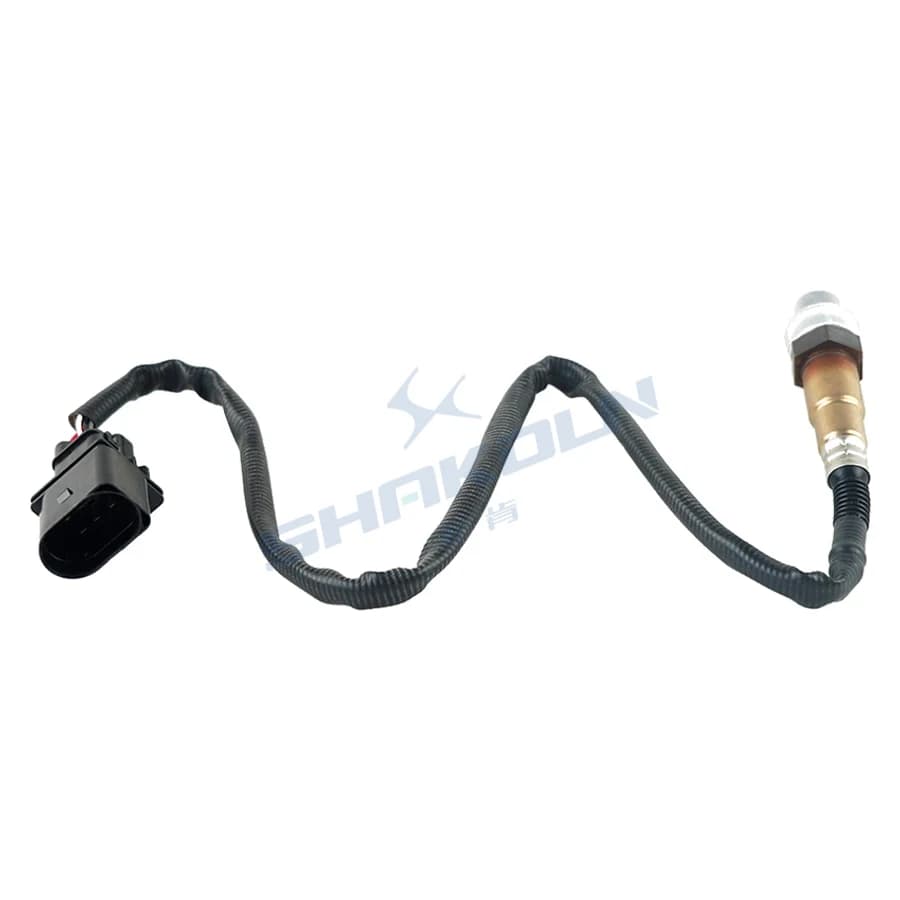 Oxygen Sensor