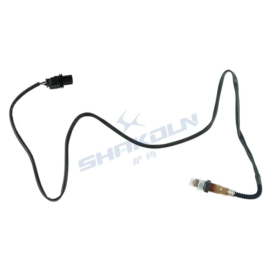 Oxygen Sensor