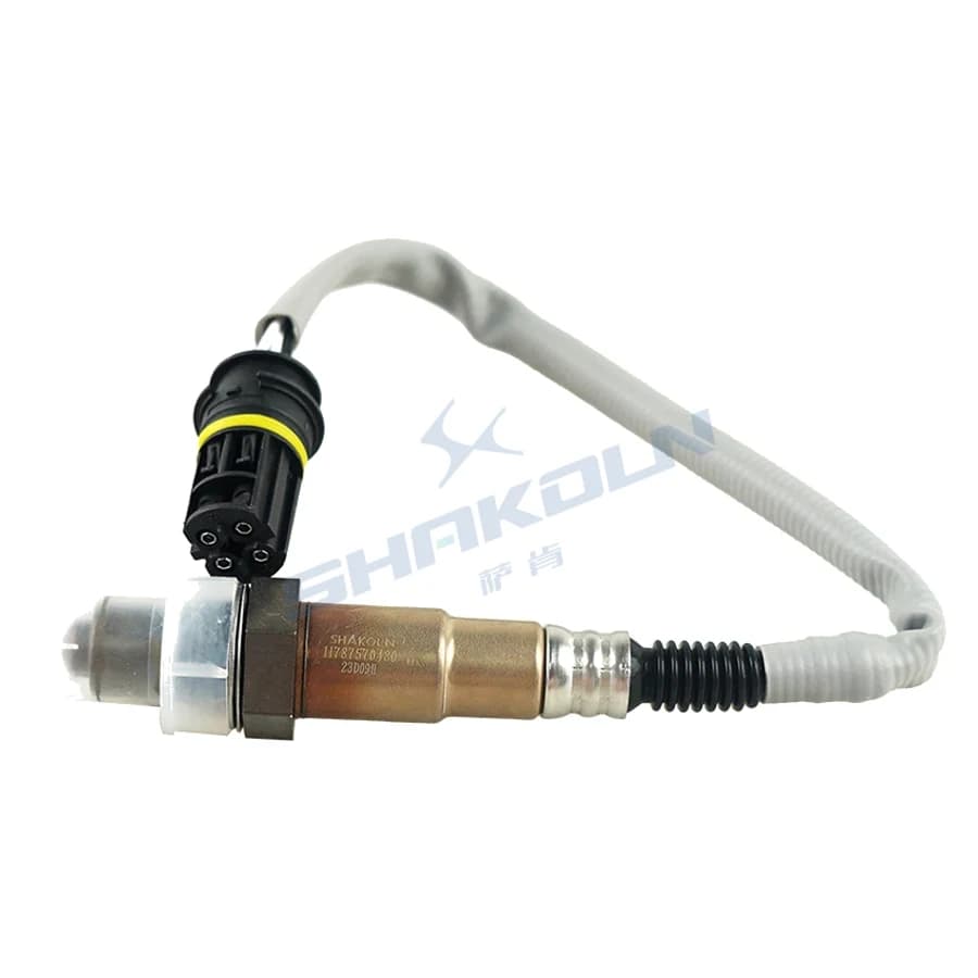 Oxygen Sensor