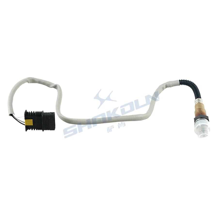 Oxygen Sensor
