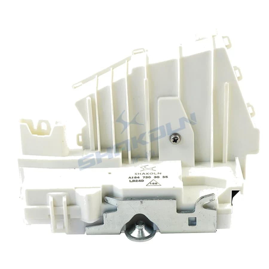 Rear Door Lock