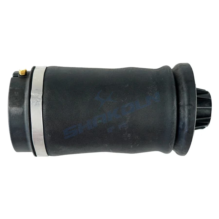 Rear Air Spring