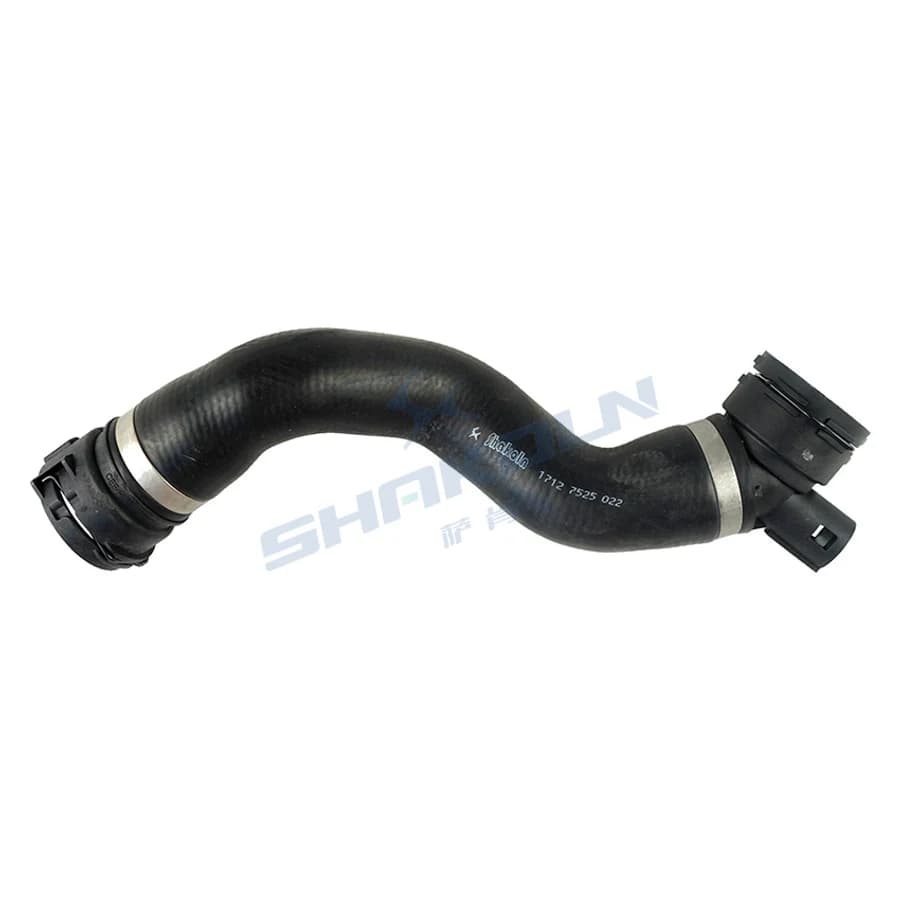 Lower Radiator Hose