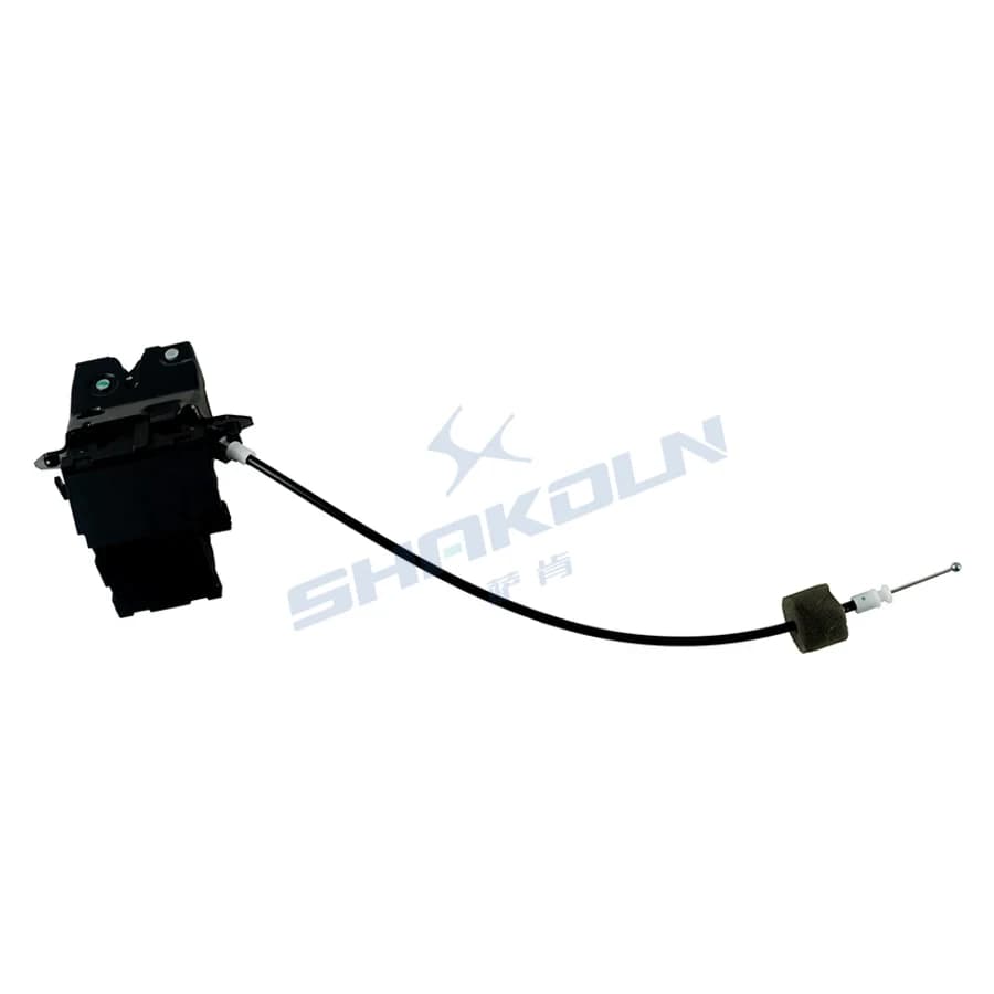 Trunk Lock
