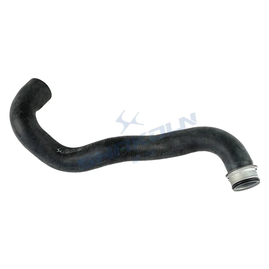 Lower Radiator Hose