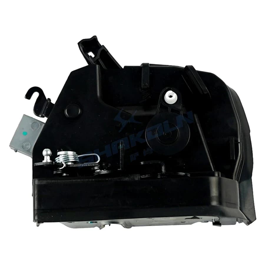 Rear Door Lock