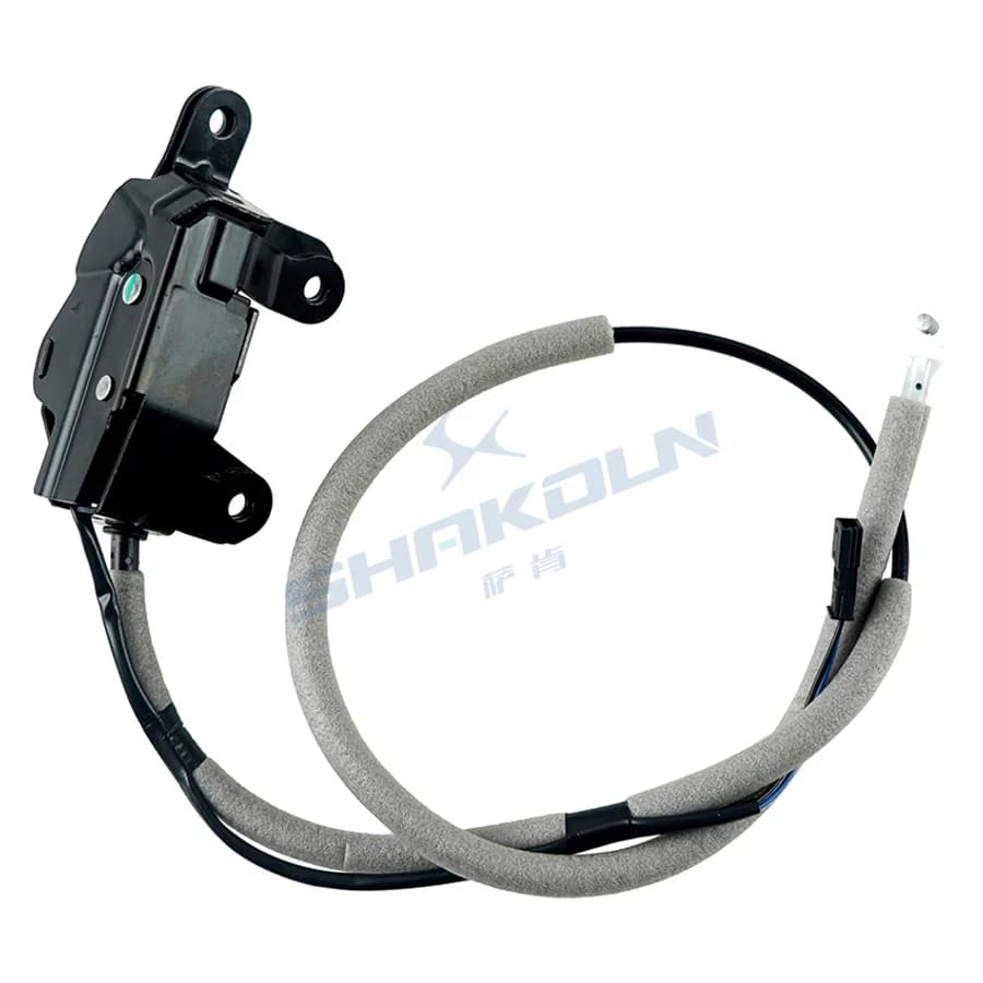Trunk Lock Lower