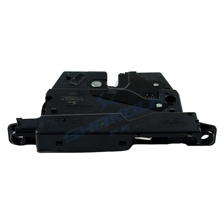 Trunk Lock