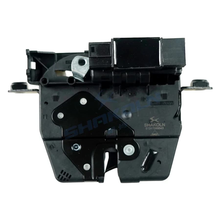 Trunk Lock