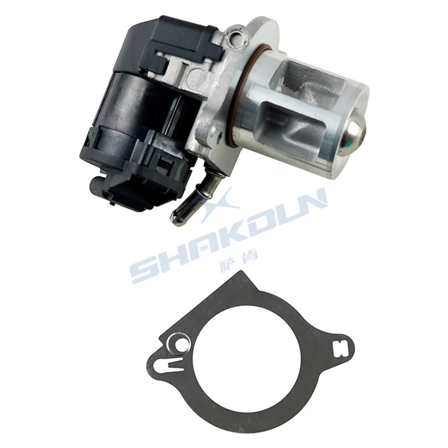 EGR Valve